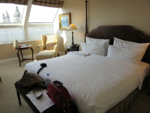 pet-friendly hotels