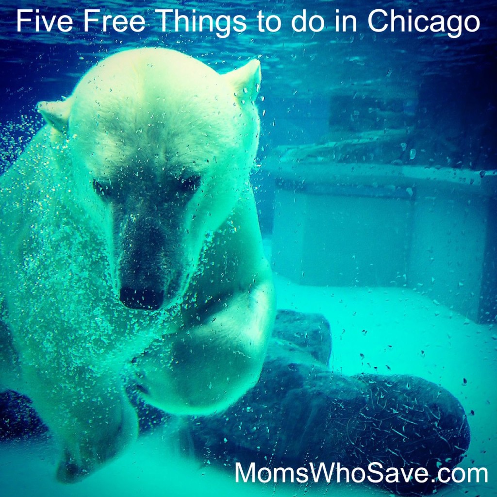 Five Free Things to do in Chicago