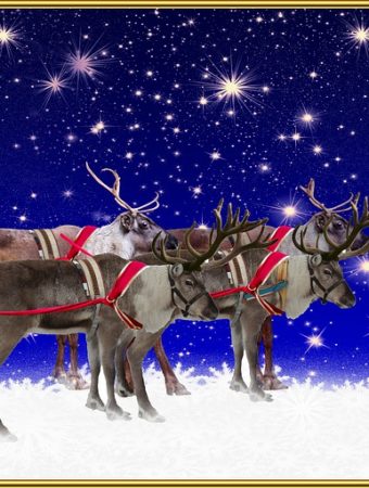 watch santa's sleigh online