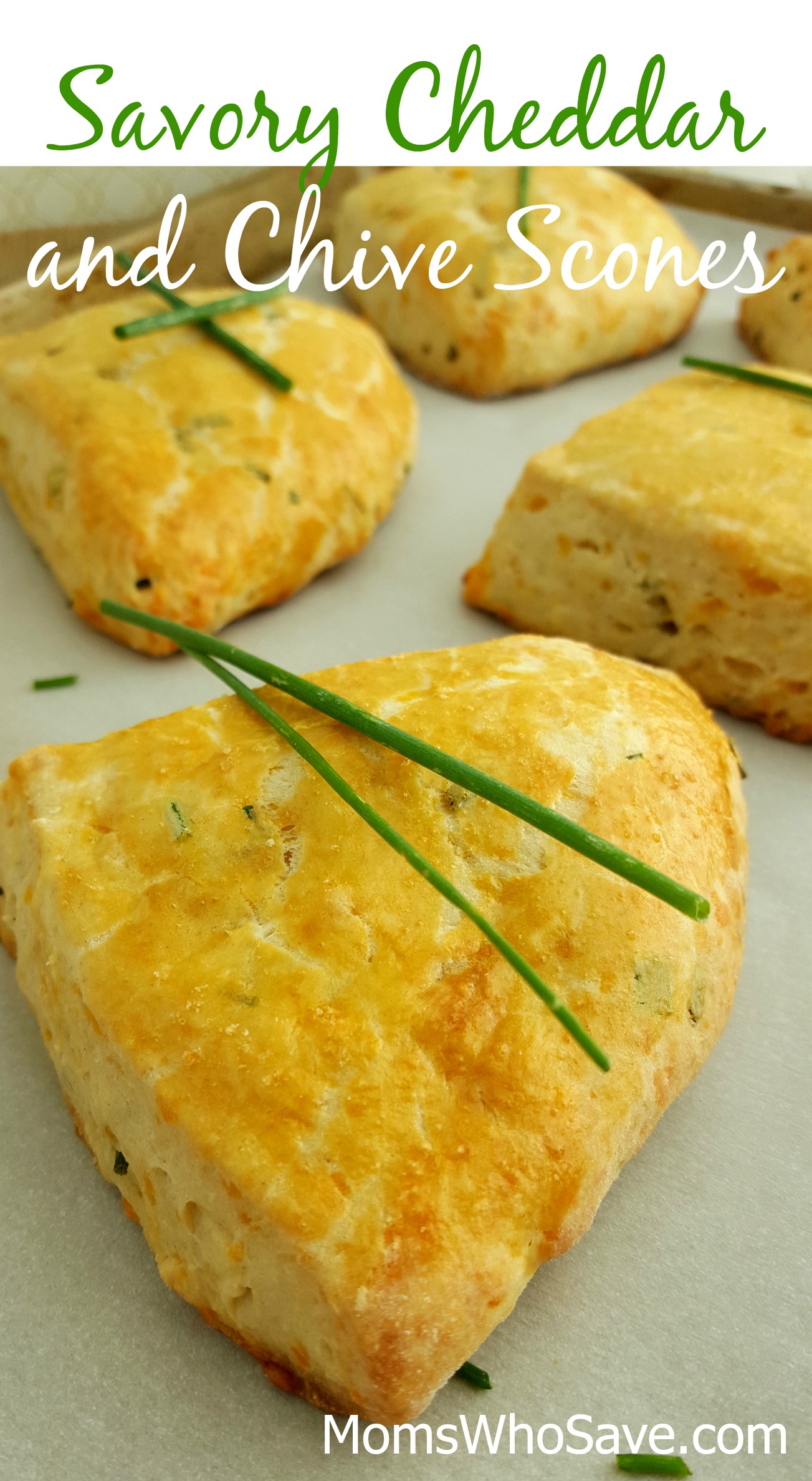 savory cheddar and chive scones