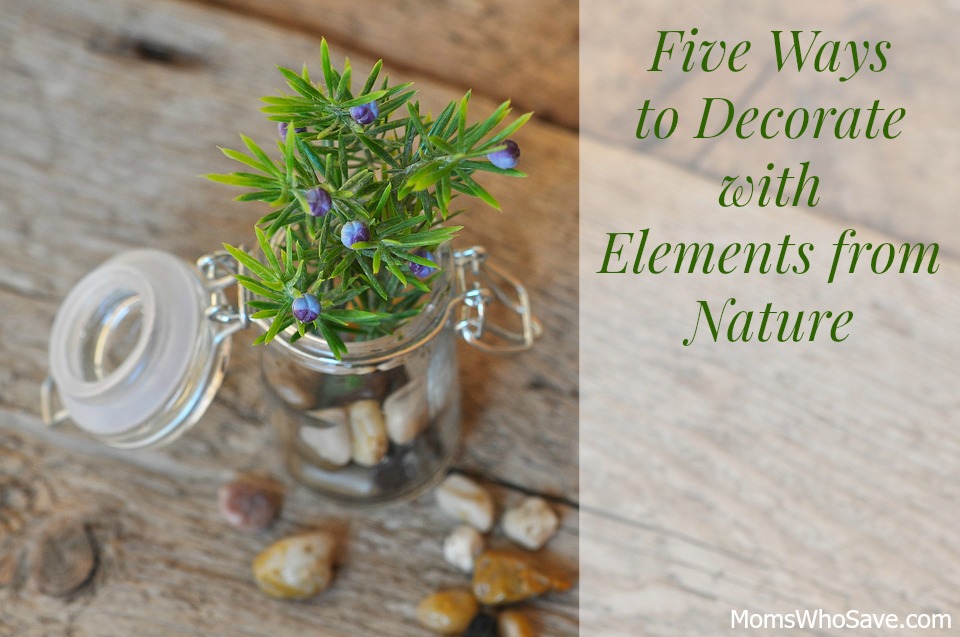 Decorate with Elements from Nature