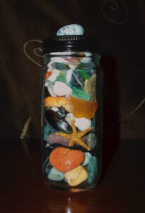 sea shell craft