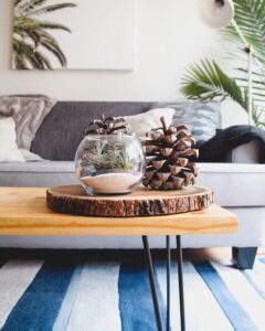decorate with elements from nature