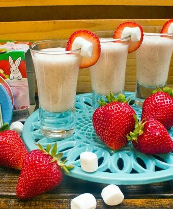 yogurt smoothie shots
