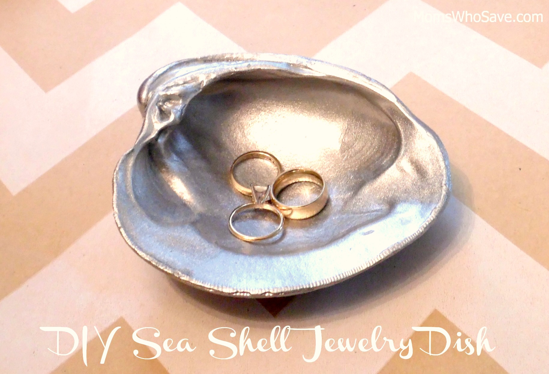 diy sea shell jewelry dish