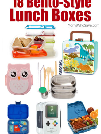 bento style lunch boxes