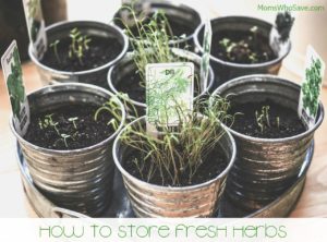 how to store fresh herbs