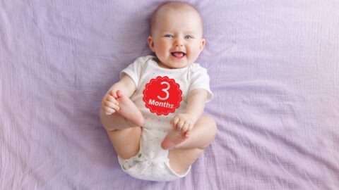 Free Printable Signs for Monthly Baby Pictures