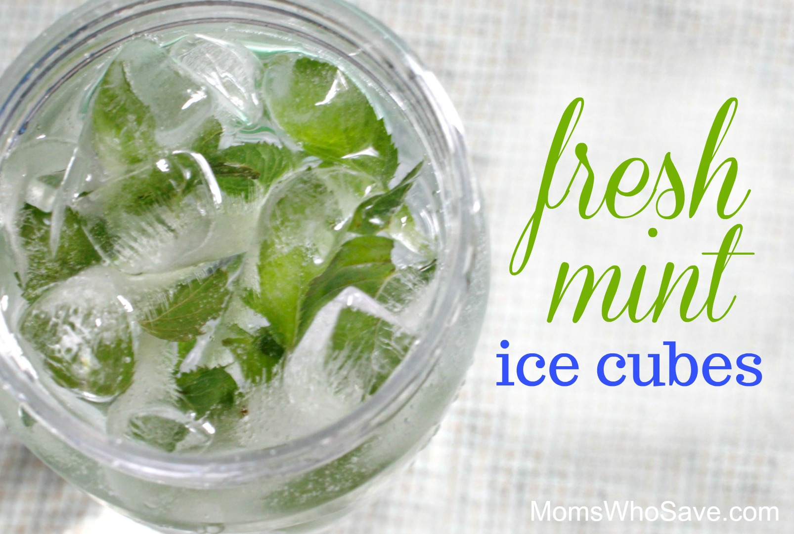 how to make mint ice cubes