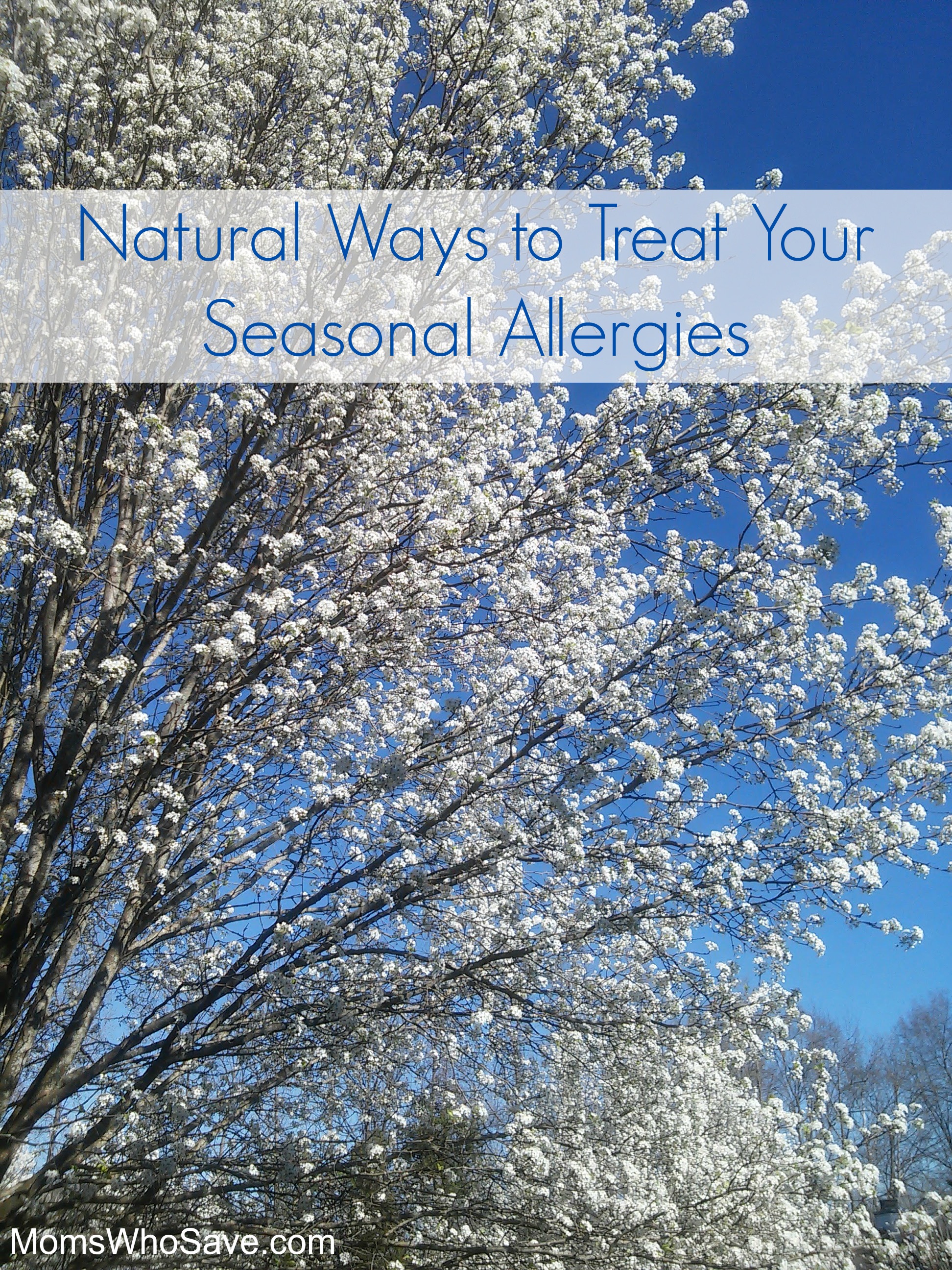 natural ways to treat allergies