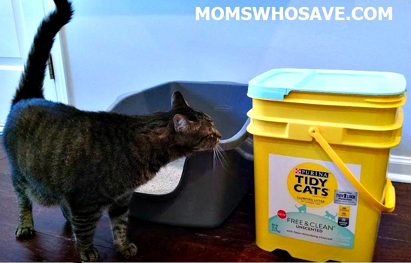 TIDY CATS Free and Clean Unscented Litter