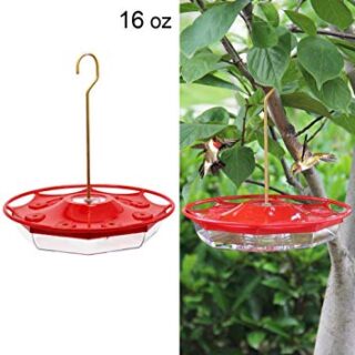 Our Favorite Unique Hummingbird Feeders + an Easy 2-Ingredient Nectar Recipe 7 Image for 16 oz. Hanging Hummingbird Feeder with 8 Feeding Ports