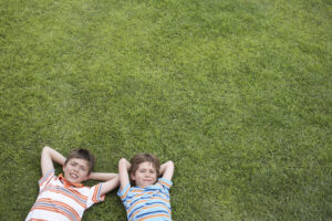 The Best Type of a Grass for Kids to Play On