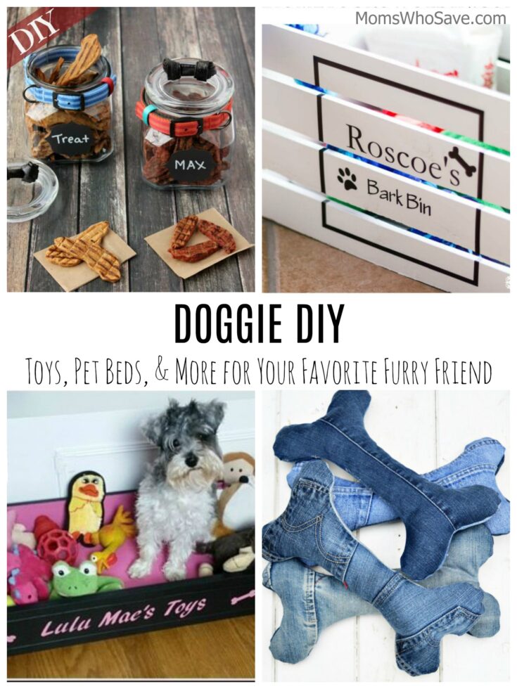 Dog DIYs