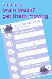 What is a Brain Break
