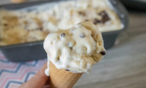 homemade banana chocolate chip ice cream