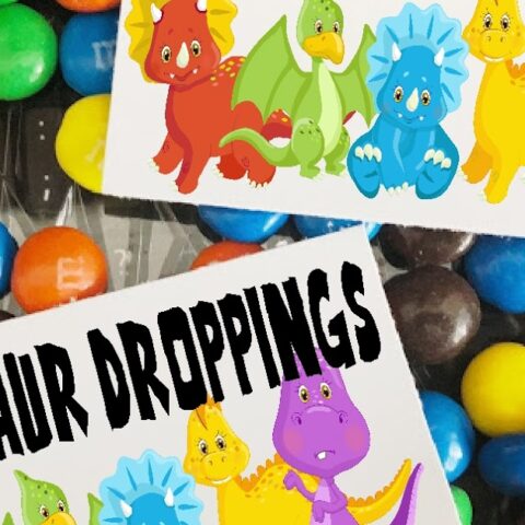 32 Fun DIY Ideas for a Dinosaur-Themed Birthday Party 27 Image for Dinosaur Droppings Bag Topper