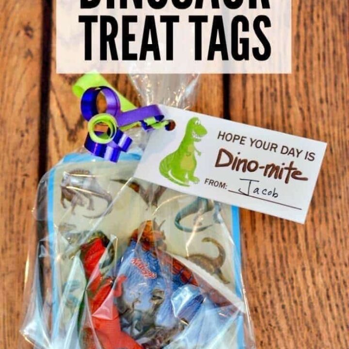 32 Fun DIY Ideas for a Dinosaur-Themed Birthday Party 20 Image for Dinosaur Party Favors: Free Printable Treat Tags