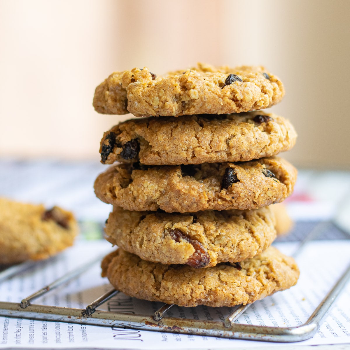vegan oatmeal raisin cookies 14
