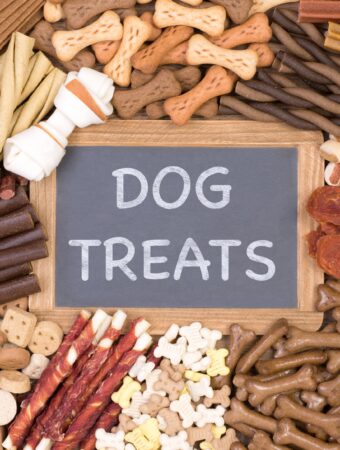 choosing the best dog treats