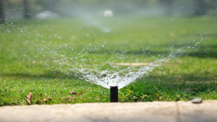 Wondering How to Reduce Your Water Bill? 10 Money-Saving Ideas