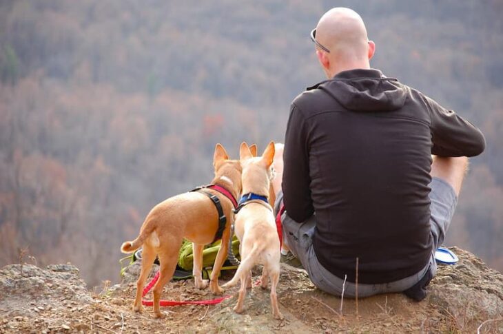 Separation Anxiety is Real: Here's How You and Your Pet Can Travel Together