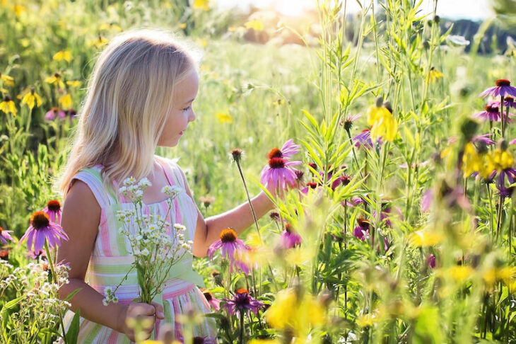 How to Teach Your Kids to Appreciate Nature (and Why You Should)