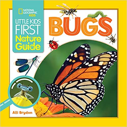 Little Kids First Nature Guide: Bugs 