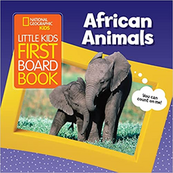 Little Kids First Board Book: African Animals