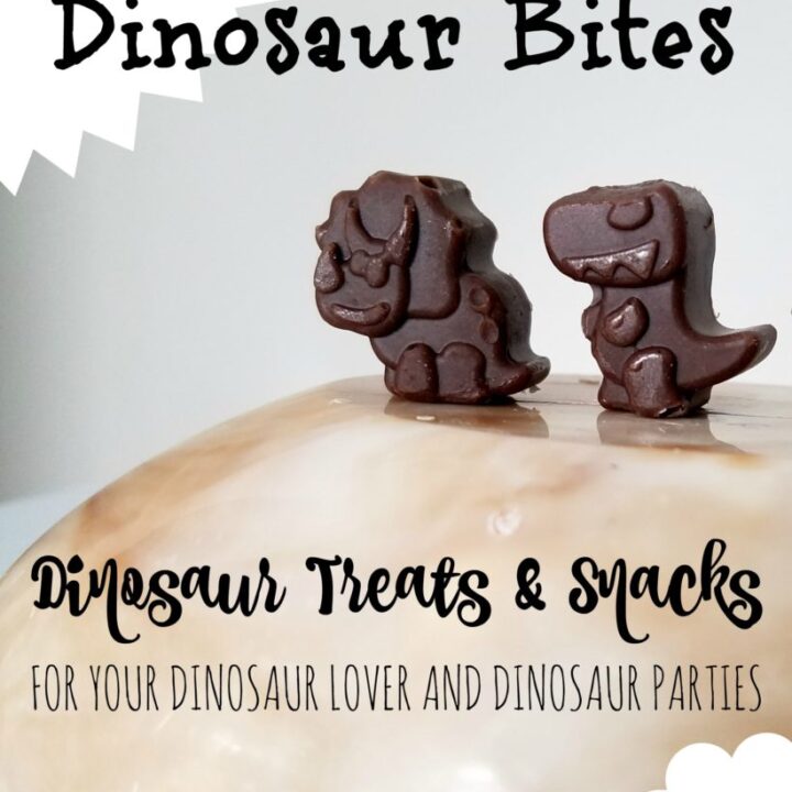 32 Fun DIY Ideas for a Dinosaur-Themed Birthday Party 12 Image for Dinosaur Bites - Snacks for your Dinosaur Lover and Dinosaur Parties