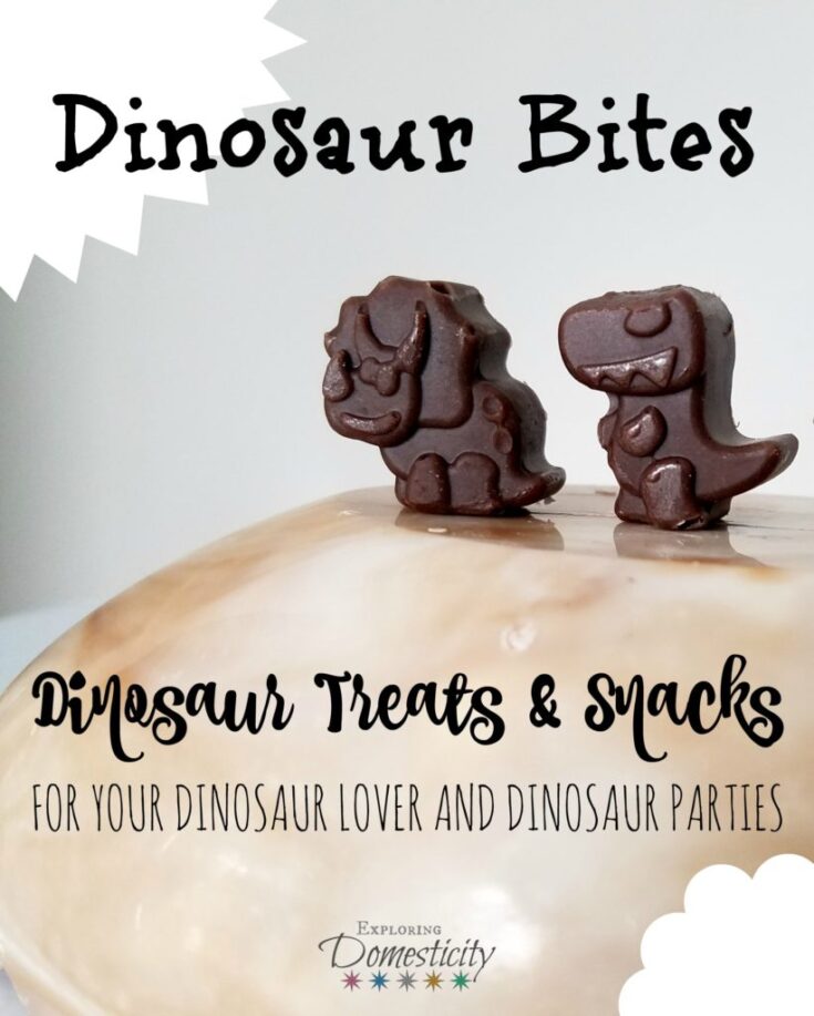 Dinosaur Bites Dinosaur Treats and Snacks for your dinosaur lover and dinosaur parties 821x1024 1