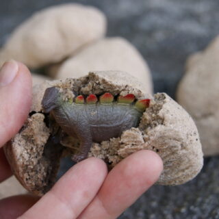 32 Fun DIY Ideas for a Dinosaur-Themed Birthday Party 9 Image for Surprise Rocks {& a Dinosaur Dig}
