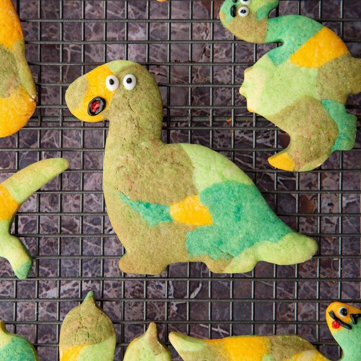 32 Fun DIY Ideas for a Dinosaur-Themed Birthday Party 6 Image for How to Make Dinosaur Cookies