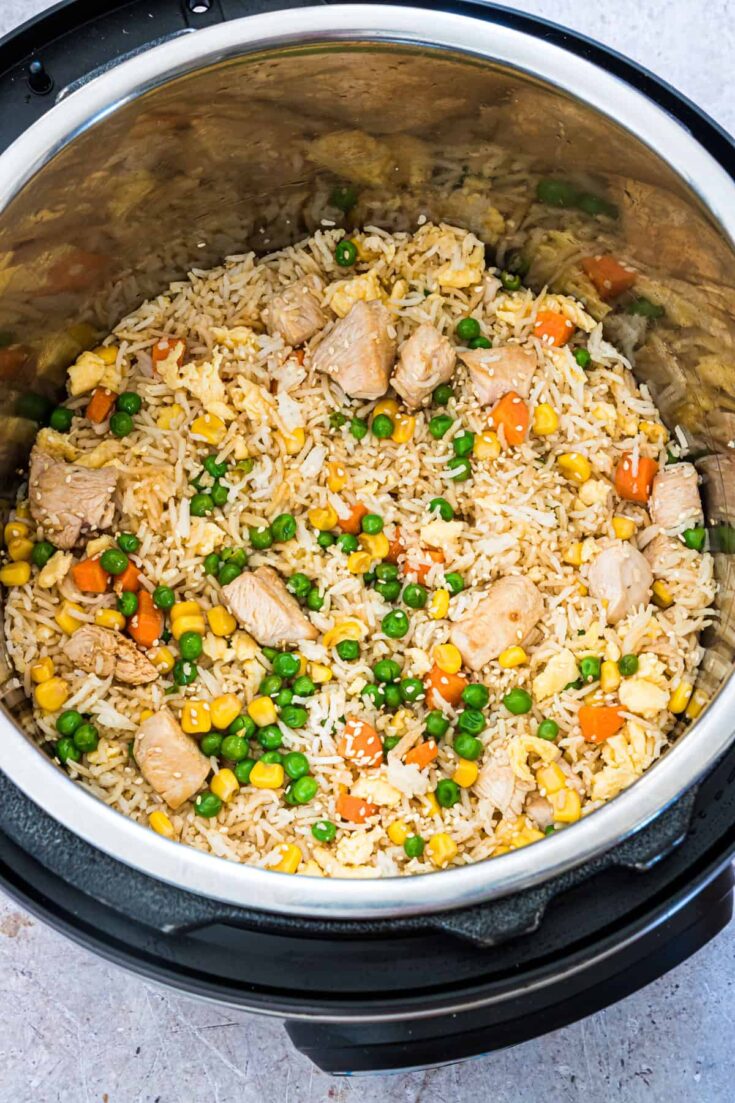 instant pot chicken fried rice 13 of 16
