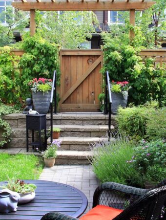 Landscaping Maintenance Tips for a Beautiful Yard