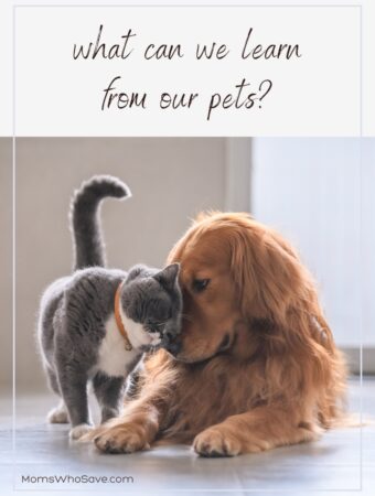 What Can We Learn From the Family Pet?