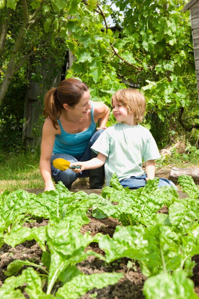 At-Home Activities to Teach Kids About Sustainability