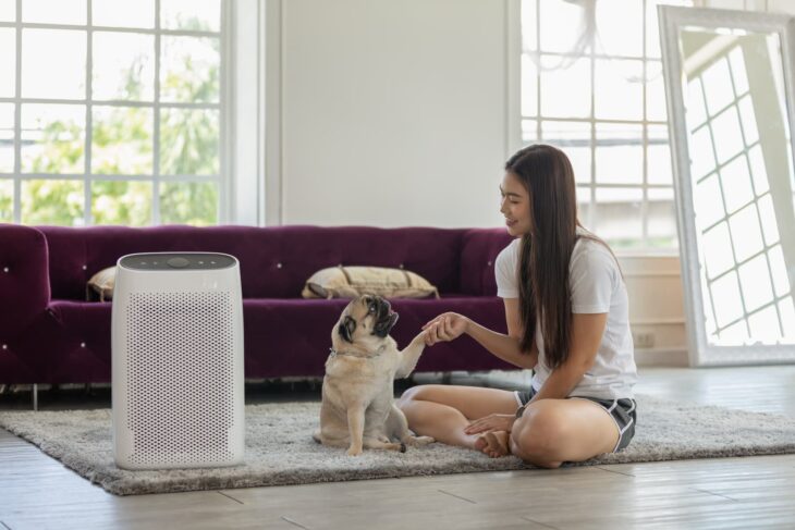 How to Choose the Right Air Purifier for Your Family: A Budget-Friendly Guide