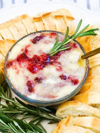 Cranberry Baked Brie Dip