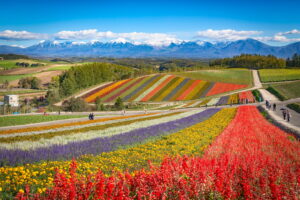 Cycling in Japan: Why It’s One of the Best Cycling Destinations
