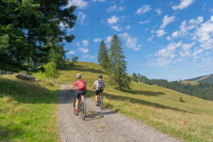 How to Plan the Perfect Cycling Vacation