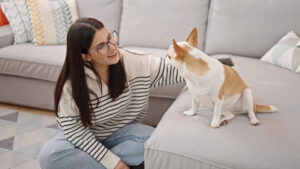 How to Keep a Clean & Pet-Friendly Home: Essential Tips for Pet Parents