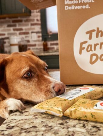 The Farmer's Dog discount