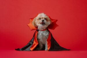 Free PetSmart Halloween Events