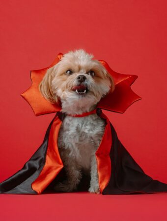 Free PetSmart Halloween Events